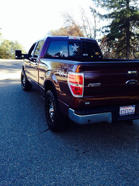 Lets see those Leveled out f150s!!!!-image-1072442431.jpg