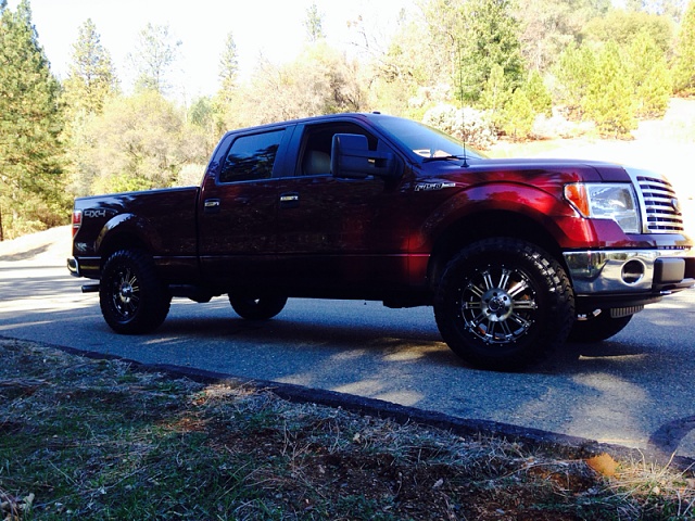 Lets see those Leveled out f150s!!!!-image-3089916868.jpg