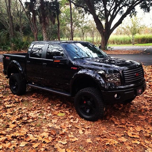 Show off your &quot;09 - Present&quot; FX4-ford-f150.jpg
