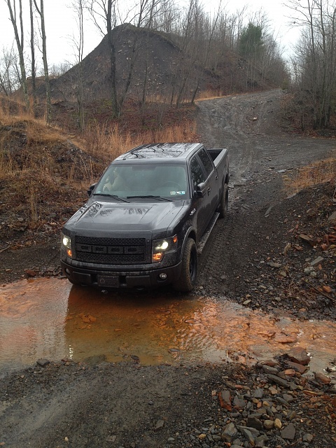 Let's see those Black F150's-img_4585.jpg