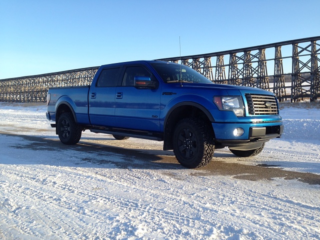 Lets see your F150 with some scenery!-image-2.jpg