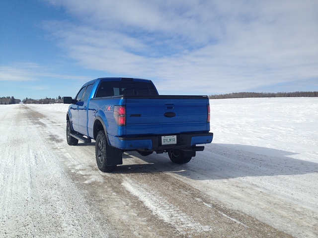 Lets see those Leveled out f150s!!!!-photo-4-4.jpg