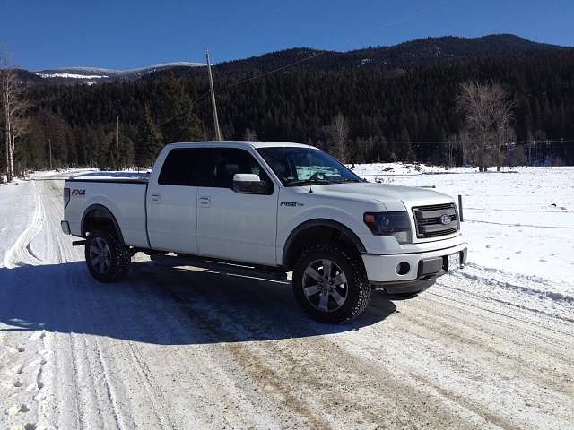 Lets see those Leveled out f150s!!!!-3a.jpg