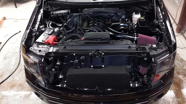 2011-2013 F150 5.0L Superchargers from Procharger-photo.jpg