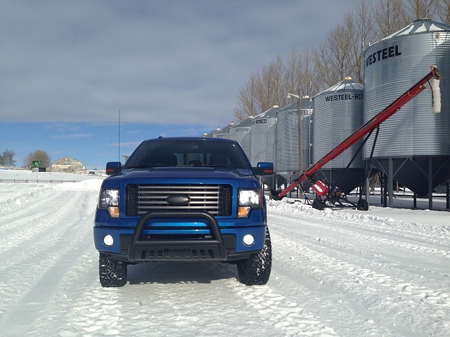 shots of your f150! let's go people!:)-photo-2-12.jpg