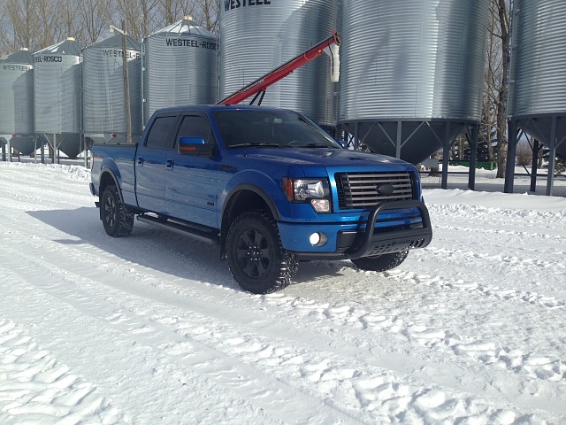shots of your f150! let's go people!:)-photo-51.jpg