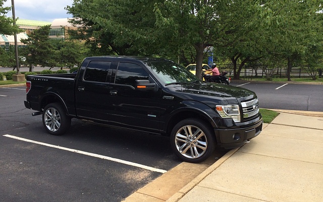 Let's see those Black F150's-tint4.jpg