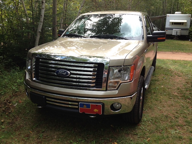 Pics of Your Pale Adobe Metallic - Ford F150 Forum - Community of Ford