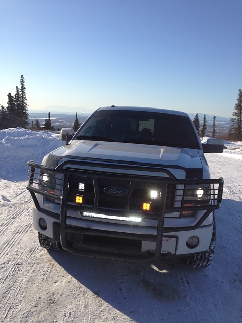 Show off your &quot;09 - Present&quot; FX4-img_0278.jpg