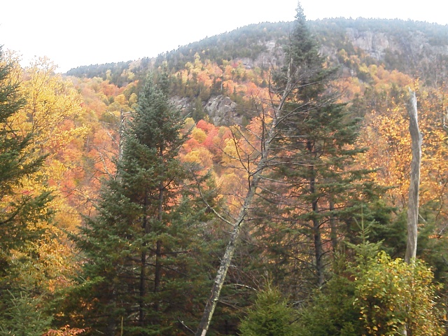 Lets see your F150 with some scenery!-forumrunner_20141004_103222.jpg