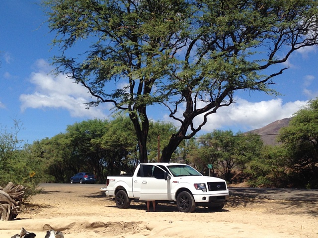 white fx4 with black 20's-image-3950927108.jpg