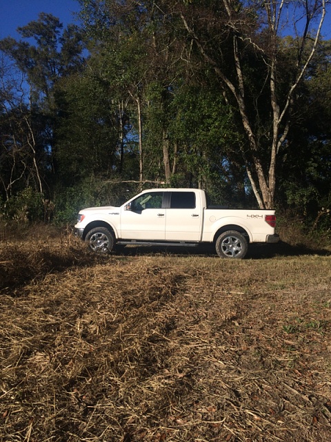 Lets see those Leveled out f150s!!!!-image-574281276.jpg