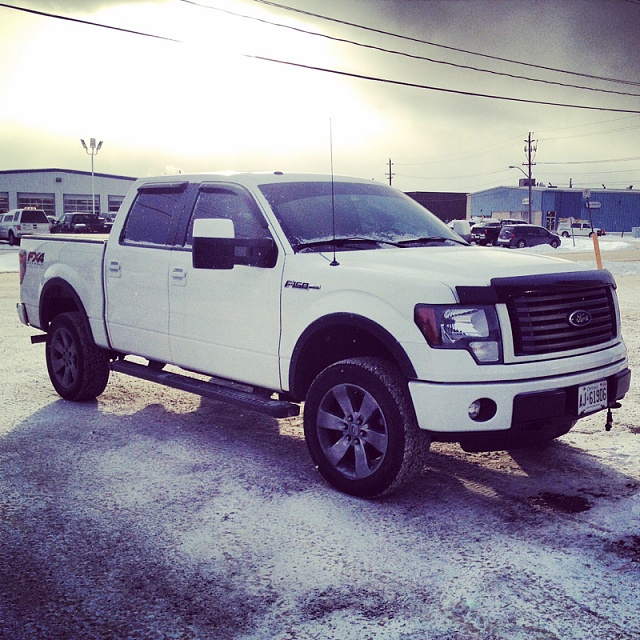 Lets see those Leveled out f150s!!!!-image-53383116.jpg