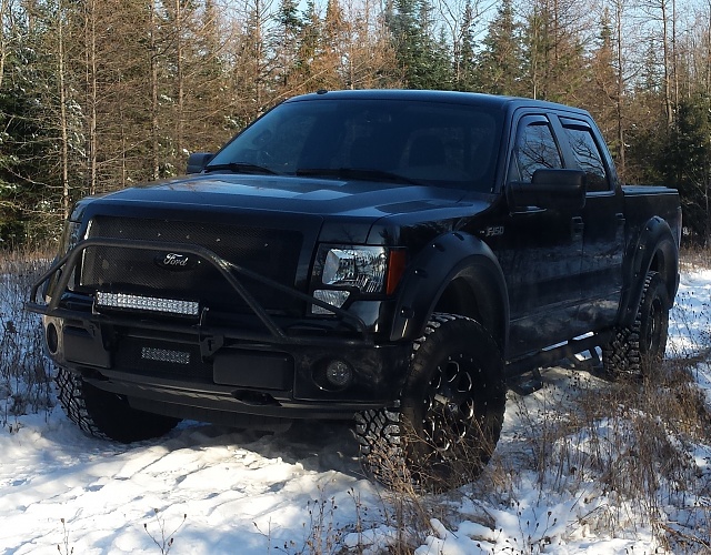Lets see those Leveled out f150s!!!!-f150_11_2014.jpg