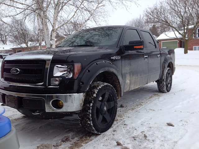 Lets see those Leveled out f150s!!!!-image-2027892886.jpg