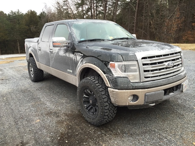 Lets see those Leveled out f150s!!!!-image-3918202933.jpg