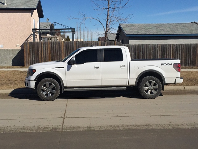 Lets see those Leveled out f150s!!!!-image-463958346.jpg