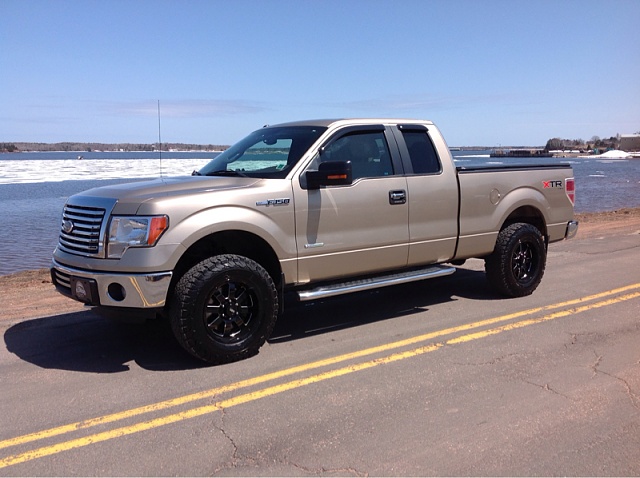 Lets see those Leveled out f150s!!!!-image-699712792.jpg