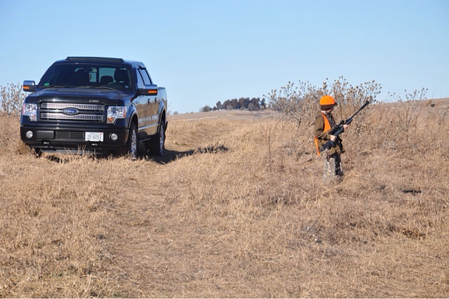 Lets see your F150 with some scenery!-image-2107583626.jpg