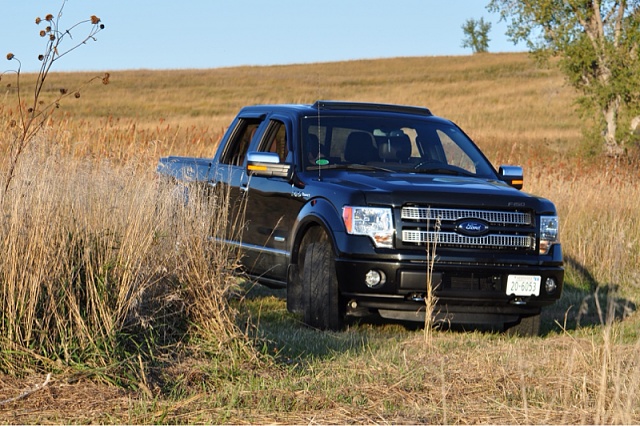Lets see your F150 with some scenery!-image-3607358318.jpg