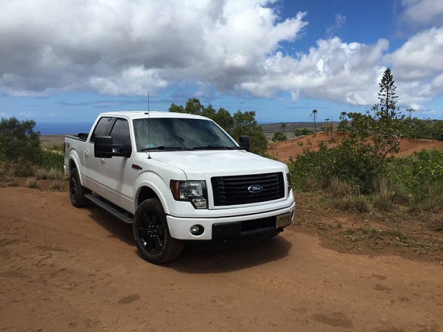 Lets see your F150 with some scenery!-image-3904188609.jpg