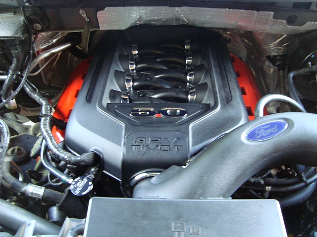Engine Cover-dsc02287.jpg
