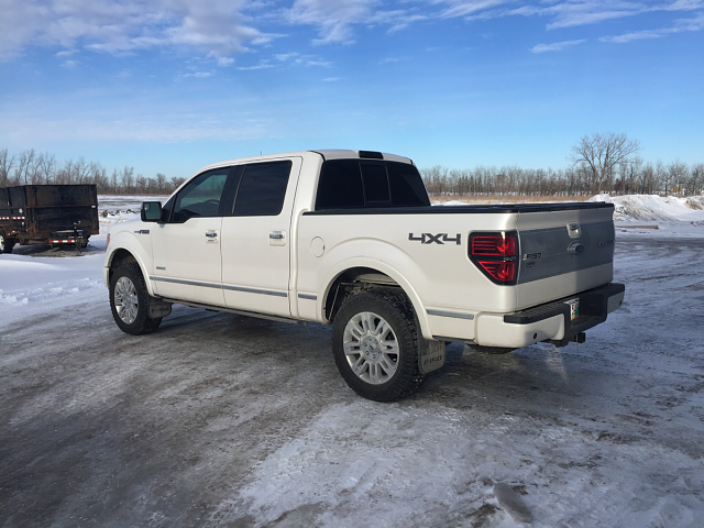 Lets see those Leveled out f150s!!!!-image-3568512412.png