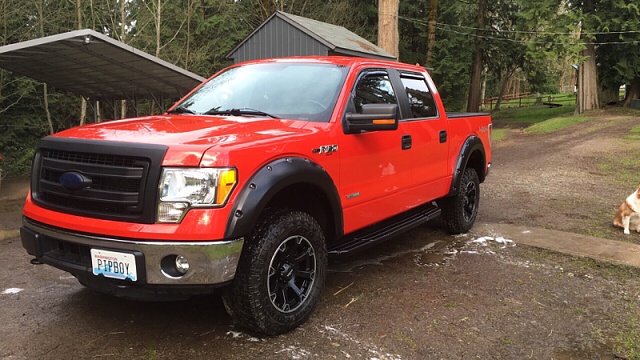 Lets see those Leveled out f150s!!!!-image-1202415249.jpg