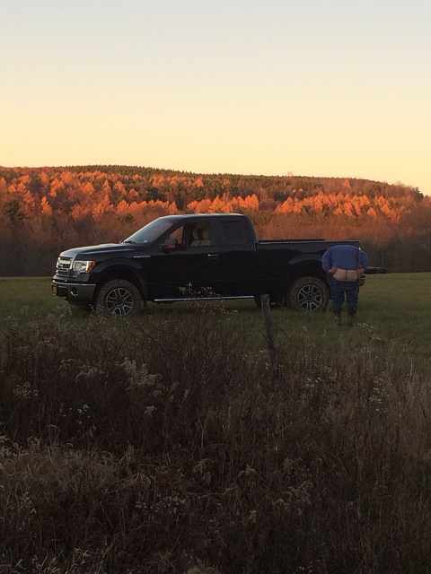 Lets see your F150 with some scenery!-photo71.jpg