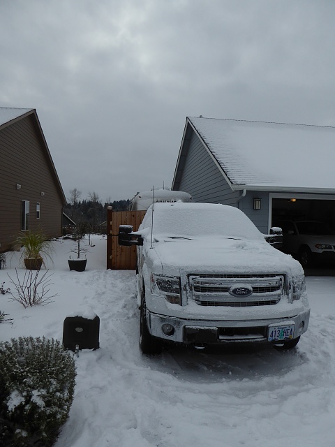 Lets see your F150 with some scenery!-p1020204.jpg