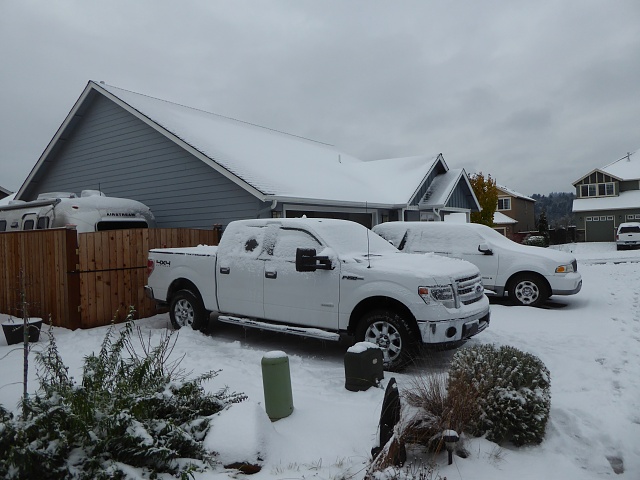 Lets see your F150 with some scenery!-p1020205.jpg