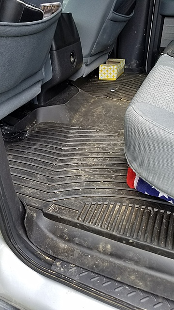 Michelin Edgeliner floor liners - review-20170326_145230.jpg