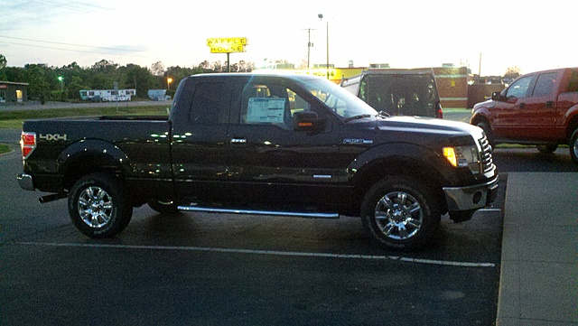Lets see those Leveled out f150s!!!!-2012-05-30_21-09-49_178.jpg