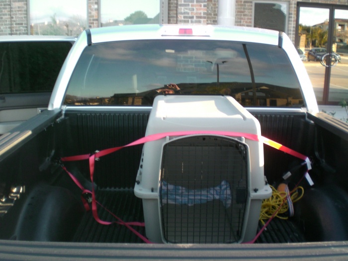 dog cage for back of truck