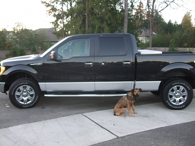 New to the site-truck-dog.jpg