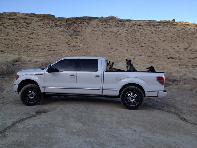 Let's See Aftermarket Wheels on Your F150s-image-4095539413.jpg