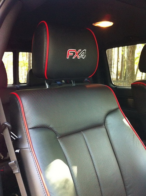 FX4 Headrest Logo-headrest2.jpg