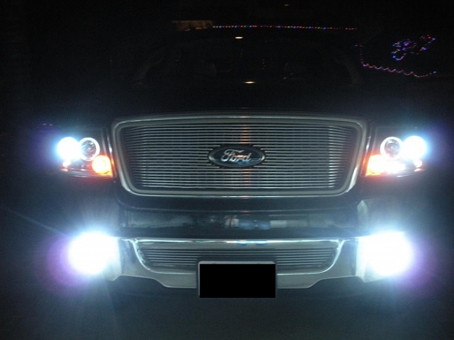My Halo Projectors with HIDs *PICS*-f150-030.jpg
