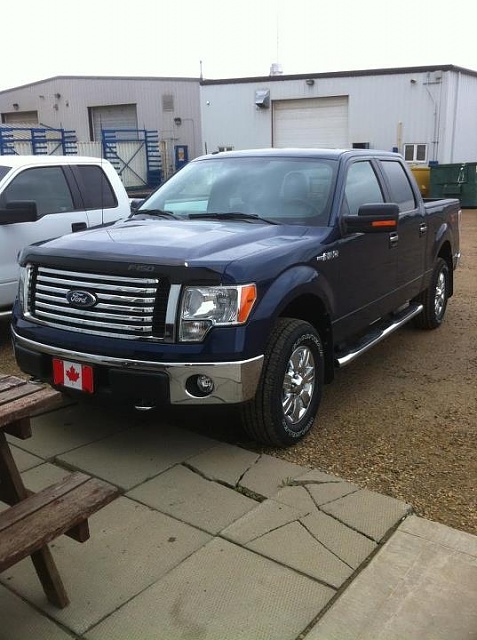 BLUE F 150's! Lets see em!-image-3995153949.jpg