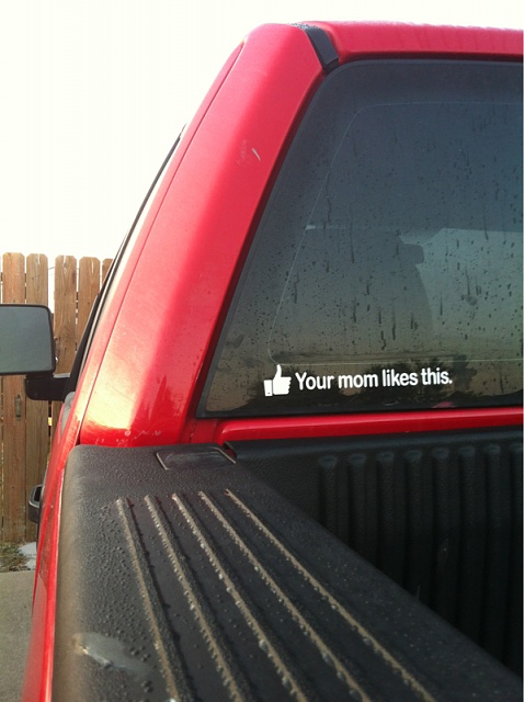 Show Off Your Back Window Stickers-image-46535813.jpg