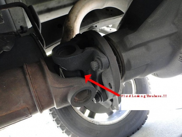 ***PICS... Rear Diff and Transmission Fluid Leak***-f150-rear-diff-leak.jpg