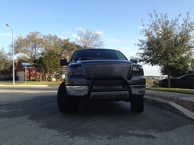 Let see some bull bars-image-2495191054.jpg