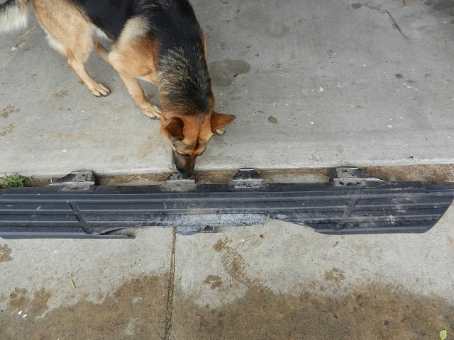 Oops! Need New Running Board!-rsz_picture_193.jpg