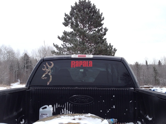 Show Off Your Back Window Stickers-image-3225231825.jpg