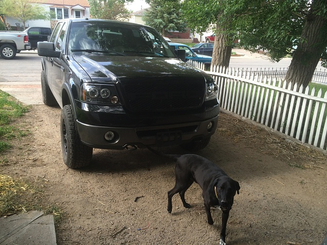 Home Made Grille Insert and Raptor Style Overlay-img_0151.jpg