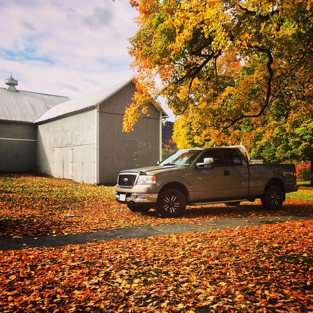 Trucks in Fall-image-2323756201.jpg