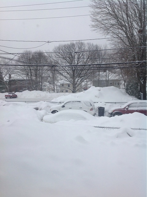 Still snowing here in Massachusetts-image-2948458853.jpg