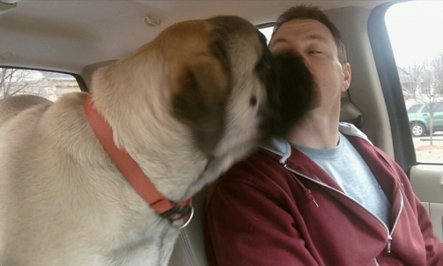 Dogs and trucks-gettin-kisses.jpg