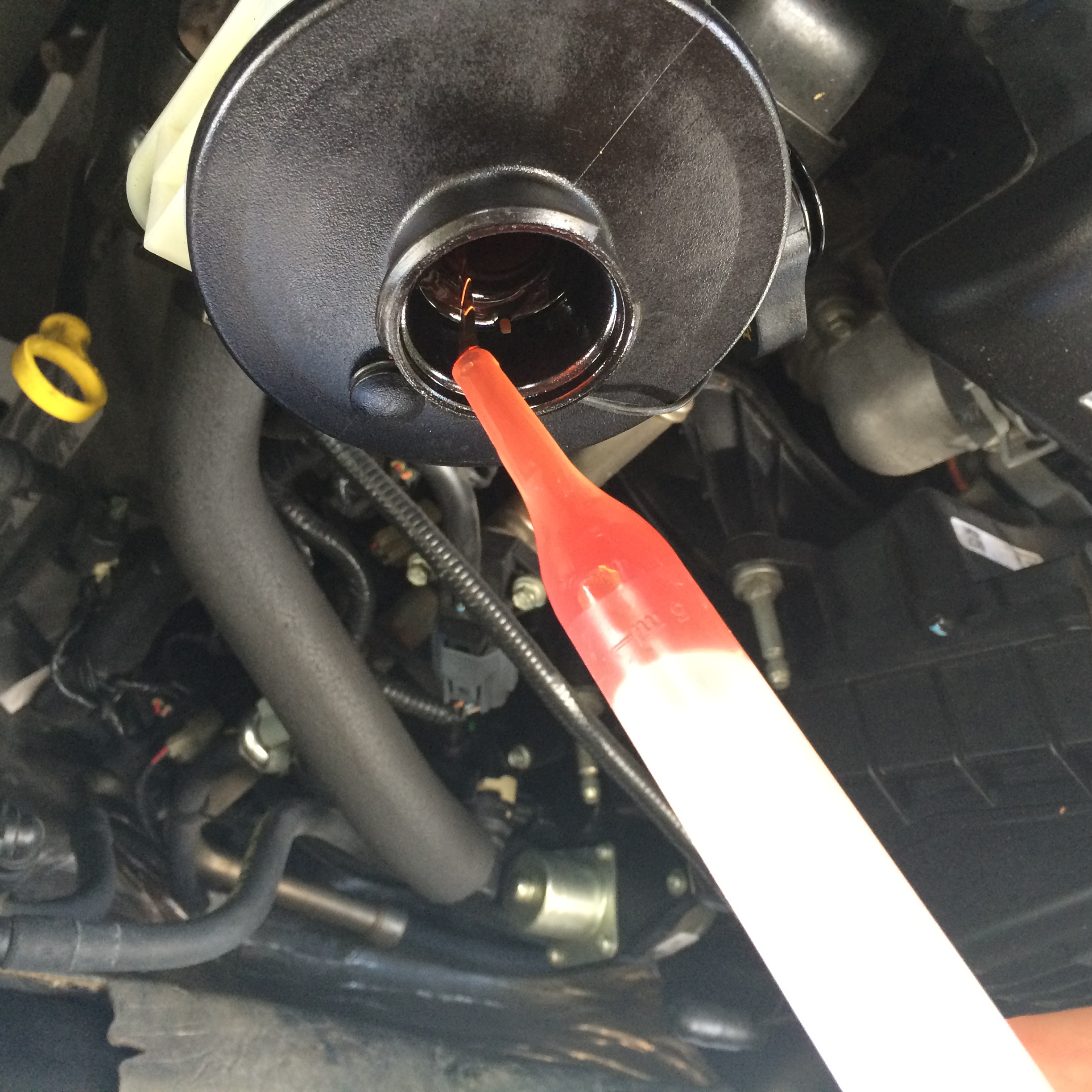 2010 Ford Escape Power Steering Fluid
