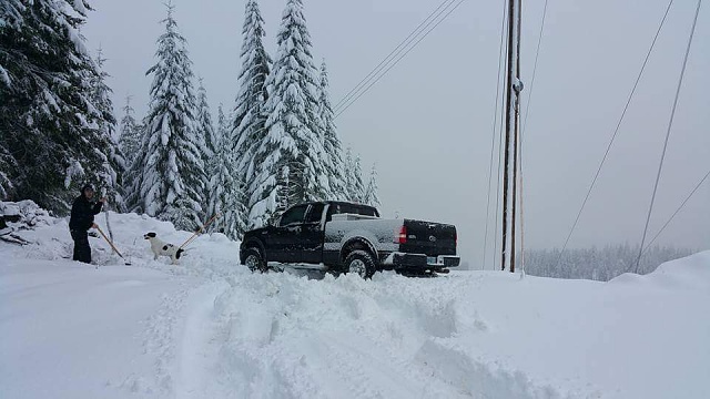 lets see your truck in the snow pictures-fb_img_1453303956436.jpg